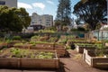 Close up of raised plant beds outdoor in city. Created with Generative AI technology.