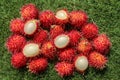 Close up of a Rambutan peeled. Top view healthy fruits on green lawn. Ready to eat sweet Bali fruit. Fruit is rounded oval single- Royalty Free Stock Photo