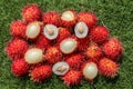 Close up of a Rambutan peeled. Top view healthy fruits on green lawn. Ready to eat sweet Bali fruit. Fruit is rounded oval single- Royalty Free Stock Photo