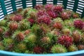 Close up Rambutan peeled. Top view Healthy fruits rambutans in a supermarket local market of ready to eat, sweet Thai fruit. Royalty Free Stock Photo