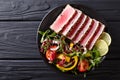 Close up of rare seared Ahi tuna slices with fresh vegetable sal Royalty Free Stock Photo