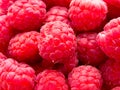 Close up of Rasberries Royalty Free Stock Photo