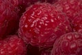 Close up of rasberries Royalty Free Stock Photo