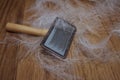 CLOSE-UP RASKET BRUSH AND DOG OR CAT HAIR DURING ANNUAL SHEDDING MOLT SEASON OF ANIMALS