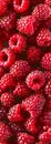 A close up of raspberries