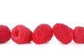 Close Up Raspberries on White Background