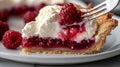Close-up of raspberry cream pie with whipped topping and fork National Raspberry Royalty Free Stock Photo