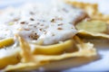 Close-up of ravioli fresh pasta dish with cheese sauce and oregano