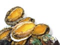Close up of raw abalones isolated on white background. Royalty Free Stock Photo