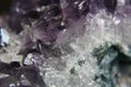 Raw Amethyst druse Royalty Free Stock Photo