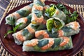 Close-up of fresh raw Asian spring rolls Royalty Free Stock Photo