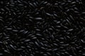 Close up of raw black rice , top view, seamless pattern. Generative Ai Royalty Free Stock Photo