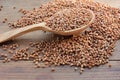 Close-up of raw buckwheat grain on a wooden spoon on wood table background. Royalty Free Stock Photo