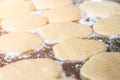 Close-up raw caramelized crisps flat dough in stainless steel tray.