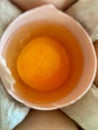 Close Up of Raw Egg Yolk Royalty Free Stock Photo