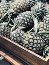 Close up raw fresh pineapple sell in the super market