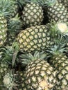 Close up raw fresh pineapple sell in the super market