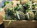 Close up raw fresh pineapple sell in the super market