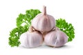 Close up raw garlic isolated on a white background