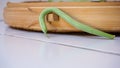 Close up of raw green beans in a basket Royalty Free Stock Photo