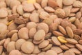 Close-up on a Raw Lentils on white background. (Lens culinaris) Royalty Free Stock Photo