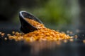 Close up of Raw Masur dal or masoor lentils or pink lentils in a black colored clay bowl on wooden surface. Royalty Free Stock Photo