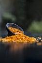 Close up of Raw Masur dal or masoor lentils or pink lentils in a black colored clay bowl on wooden surface. Royalty Free Stock Photo