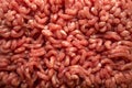 close up Raw Minced Meat textured background, top view