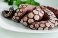 Close up of raw octopus tentacles on white plate is ready to be cooked. Italian cuisine.