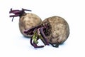 Close up of raw organic fresh root vegetable isolated on white i.e.  Beetroot with its leaves also known as beet or Beta vulgaris. Royalty Free Stock Photo