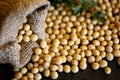 Close-up of raw organic soybeans, background