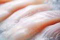 Close up of raw pangasius fish filet