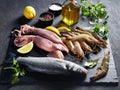Close-up of raw sea bass, shrimps, calamari Royalty Free Stock Photo