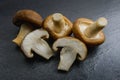 Raw shiitake mushrooms on black background Royalty Free Stock Photo