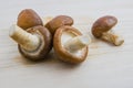 raw shiitake mushrooms on wood background. Royalty Free Stock Photo