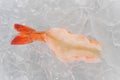 Single raw shrimp on ice Royalty Free Stock Photo