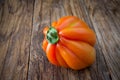 Close up raw tomato called ox hearth