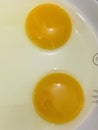 Raw uncooked eggs yolks in a plate