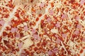 Close-up of raw uncooked pizza Royalty Free Stock Photo