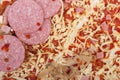 Close-up of raw uncooked pizza Royalty Free Stock Photo