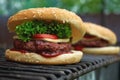 Close up of ready made tasty looking cheeseburger made of juicy grilled patty, cheese slice, fresh tomato and crispy lettuce leaf