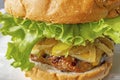 Ready to eat hamburger on plate Royalty Free Stock Photo