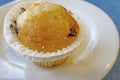 Ready to eat muffin on aplate Royalty Free Stock Photo