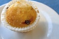 Ready to eat muffin on aplate Royalty Free Stock Photo