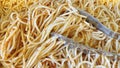 Close up ready to eat spaghetti pasta Royalty Free Stock Photo