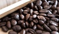 Close up of real coffee beans on wooden background Royalty Free Stock Photo