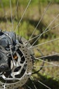 Close up Rear disc brakes for bicycle Royalty Free Stock Photo