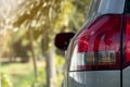 Close-up rear side of gray car. With background blurred of trees and meadow. Royalty Free Stock Photo