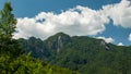 Close up rear view of hikers walking in the forest. Active hiking in the sunny forest, enjoying an outdoor vacation. Concept of