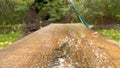 A close up on a recently sealed cottage deck just after the summer rain. Royalty Free Stock Photo